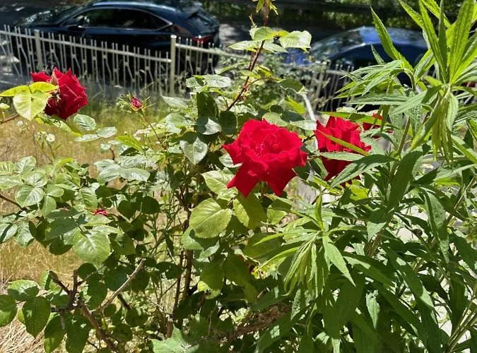 Lägenhet Oaza Spokoju